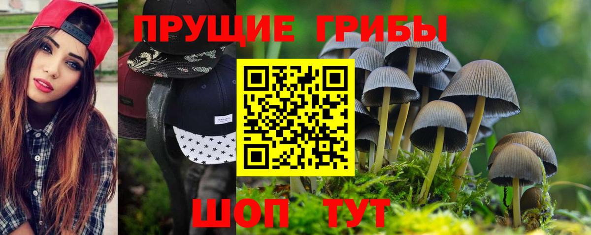 Псилоцибиновые грибы мухоморы  Псилоцибиновые грибы GOLDEN TEACHER  Вход с VPN  Октябрьский 